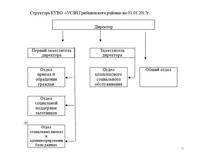 Руководство организации имеет как качественный диагноз так и обоснованный прогноз развития